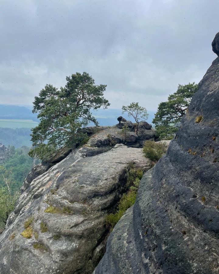Bergblick Apartment SäChsische Schweiz Sebnitz Dış mekan fotoğraf