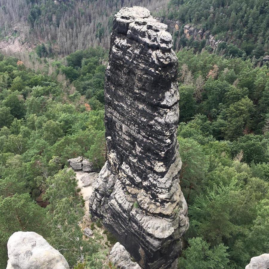 Bergblick Apartment SäChsische Schweiz Sebnitz Dış mekan fotoğraf